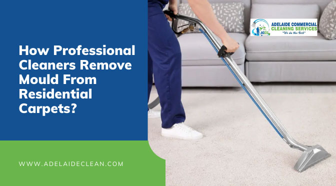 How Professional Cleaners Remove Mould From Residential Carpets?