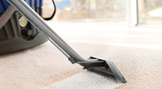 Beware – These Things Can Greatly Harm Your Carpets