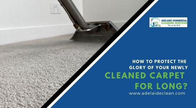 How to Protect the Glory of Your Newly Cleaned Carpet for Long?