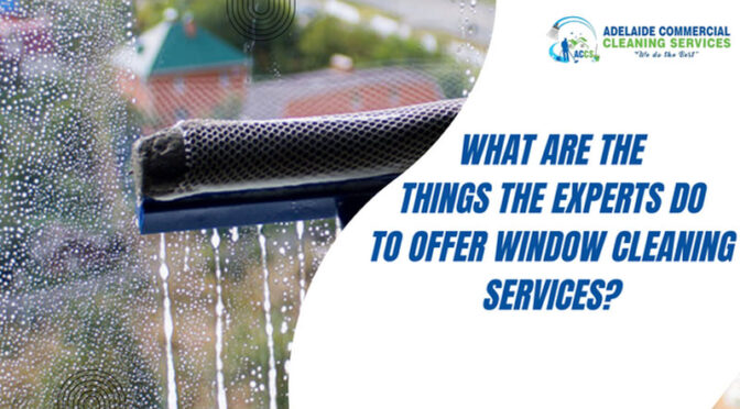 What Are The Things The Experts Do To Offer Window Cleaning Services?
