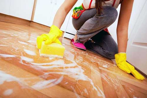 Professional Domestic Cleaning Services Adelaide