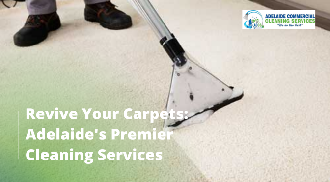 DIY vs Professional Carpet Cleaning in Adelaide: Which is Better?