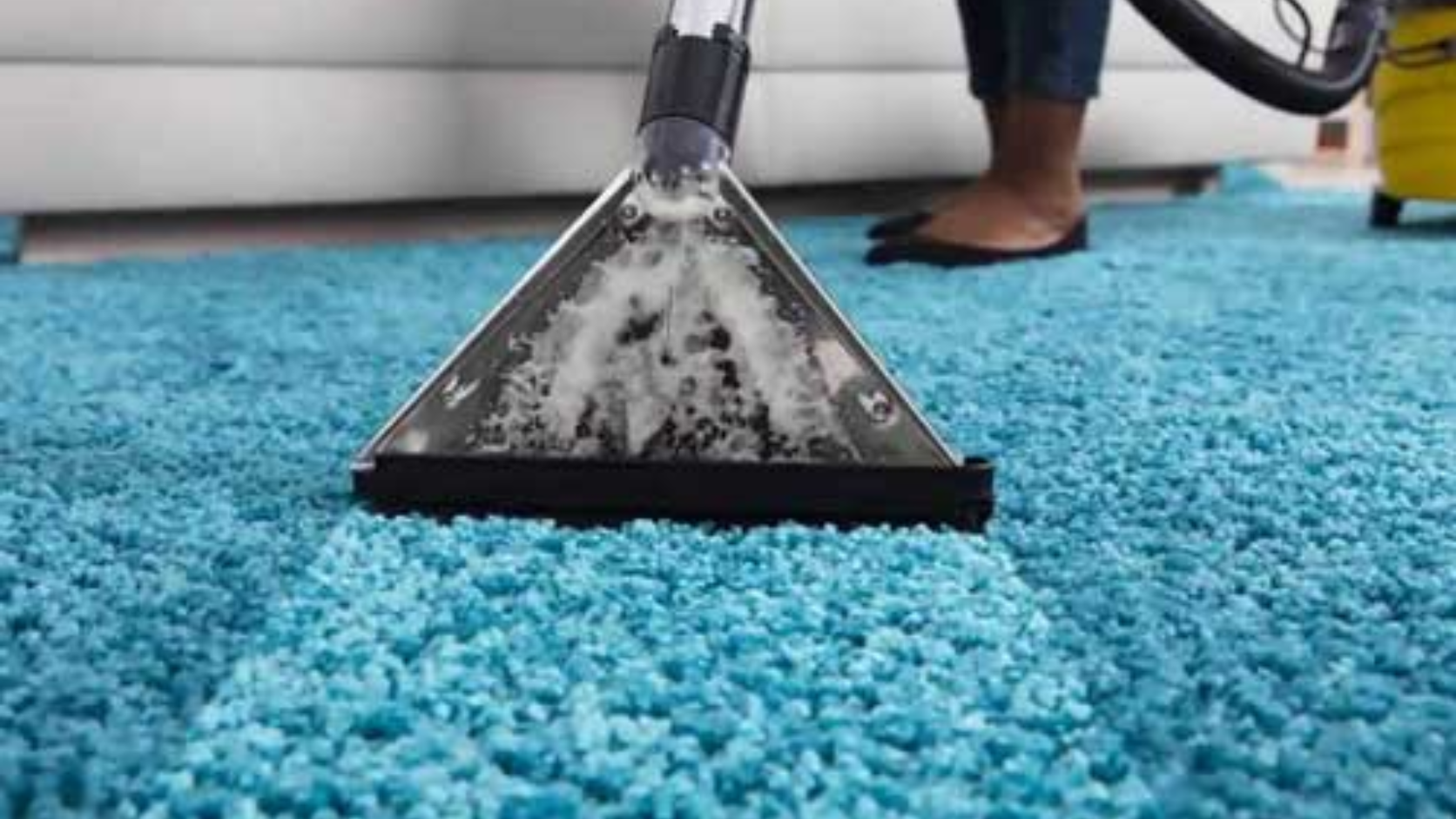Carpet Steam Cleaning Adelaide – Professional Carpet Stain and Odour Removal