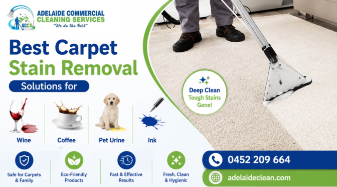 Professional Carpet Cleaning Adelaide – Deep Carpet Stain Removal